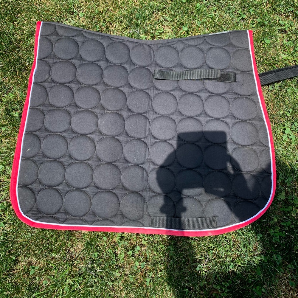 Roma dressage pad